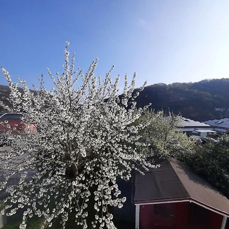 Ferienhaus Heimbach Exteriör bild